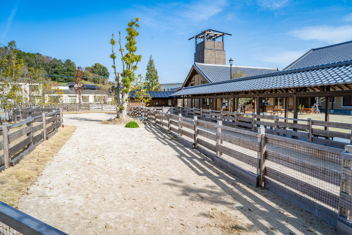 ゆうゆう広場・ドッグラン